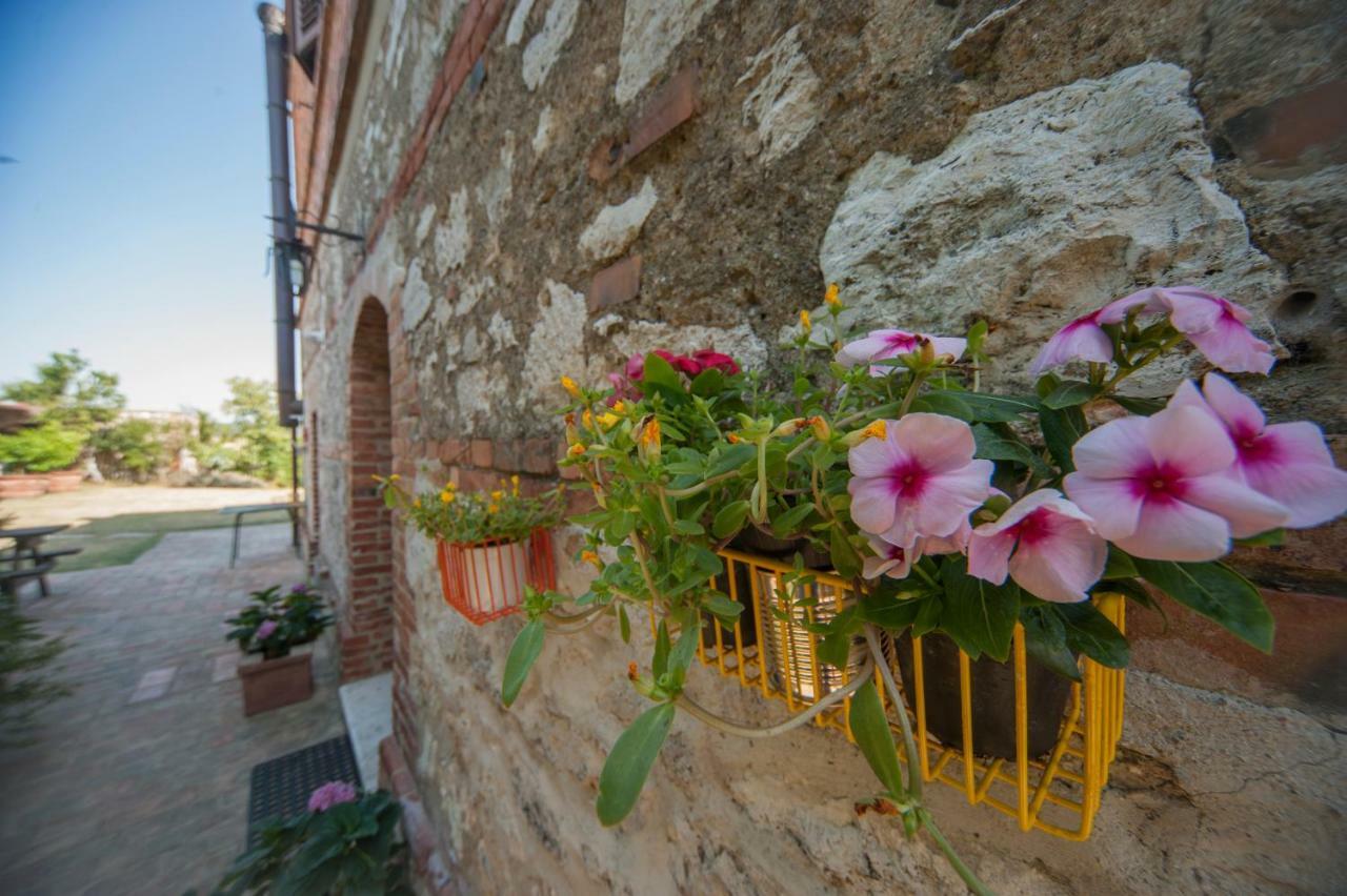 Agriturismo Podernuovo Asciano Exterior photo
